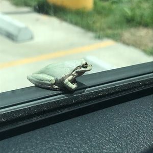 Meet your Posher, Vanessa